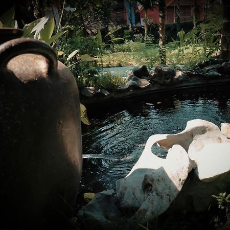 An Phu Homestay Ninh Binh Bagian luar foto