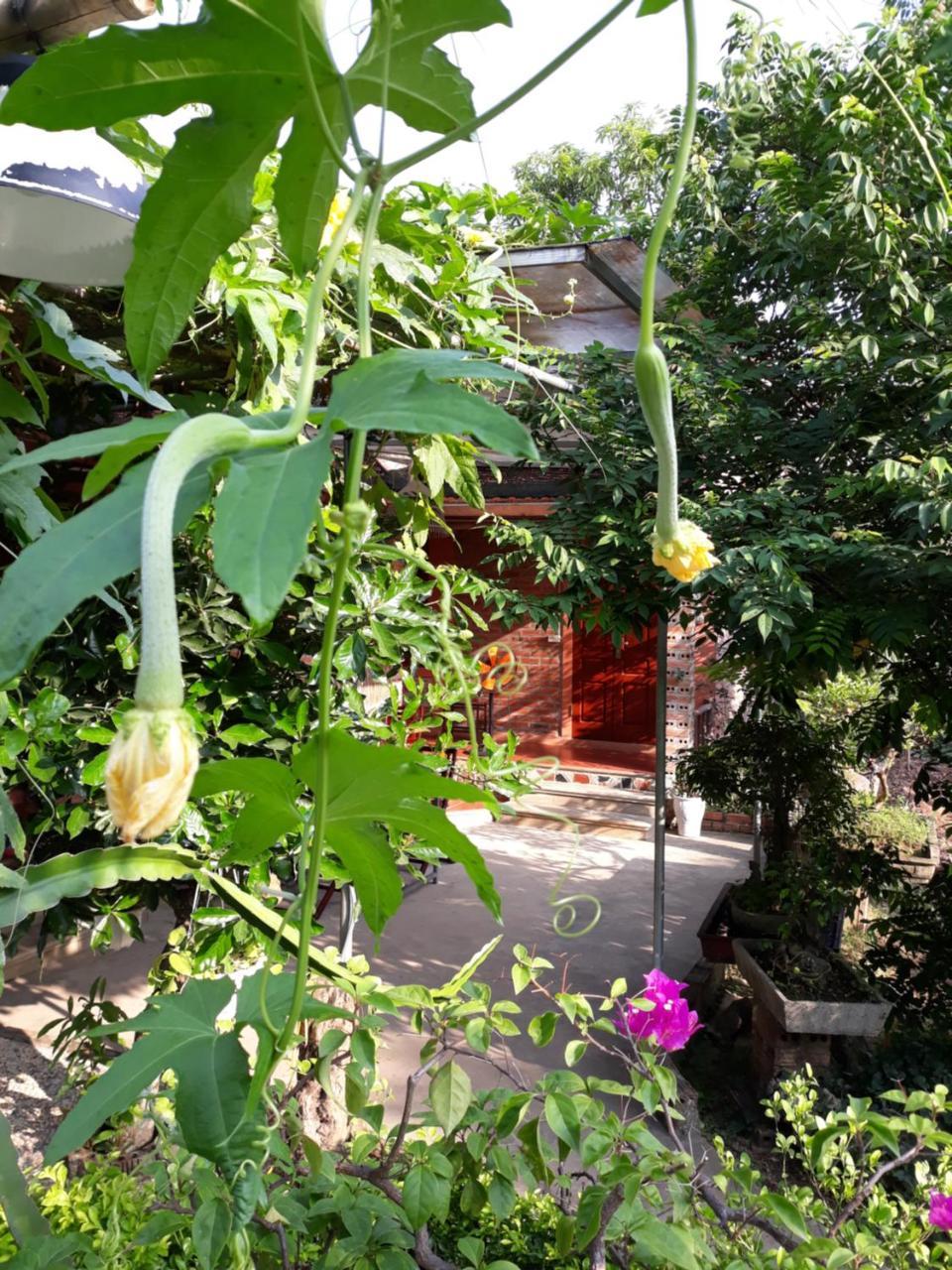 An Phu Homestay Ninh Binh Bagian luar foto